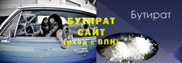 хмурый Аркадак