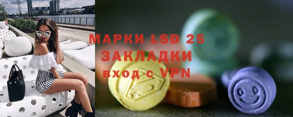 хмурый Аркадак