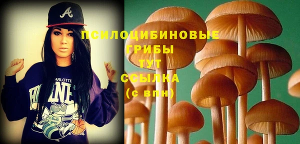 мет Пестово