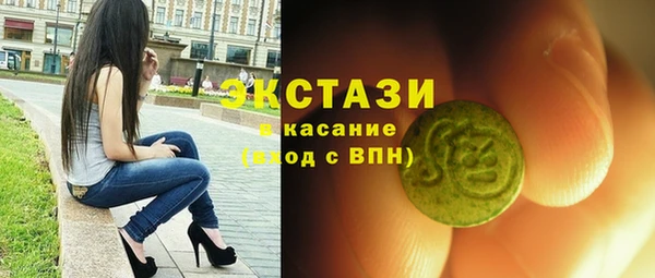 хмурый Аркадак