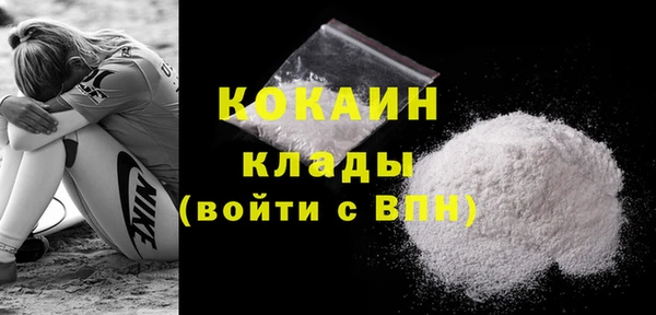 стафф Арсеньев